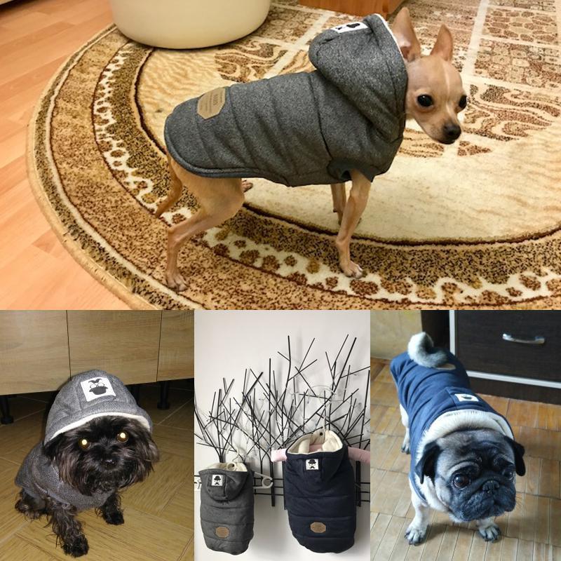 Colete de Inverno para Cachorros | Gentleman